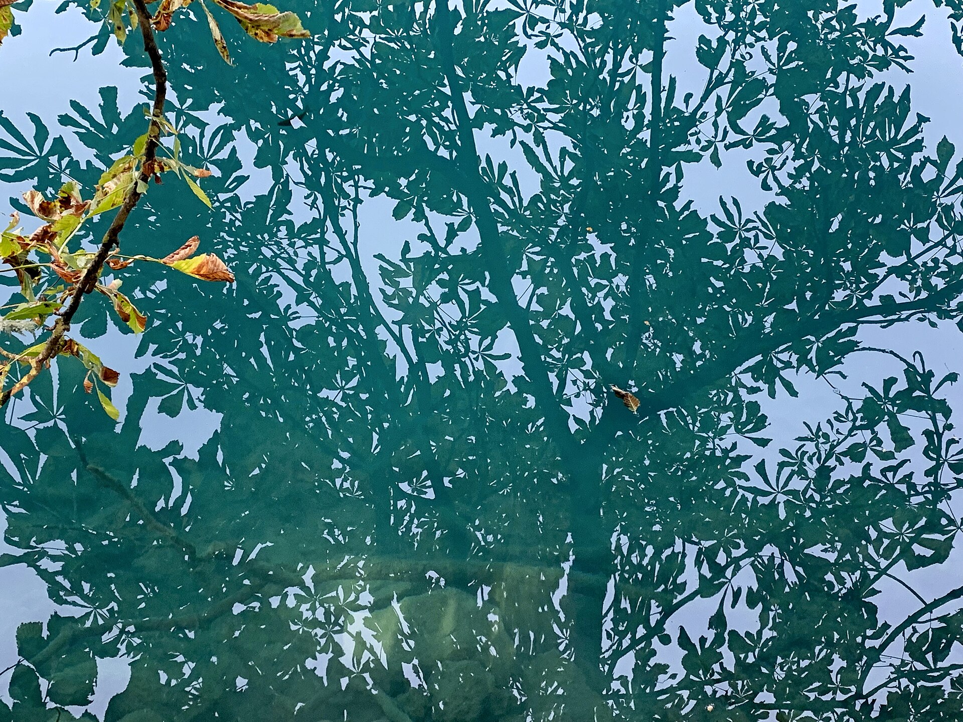 Turquoise Lake Bled with island church and Julian Alps, Slovenia